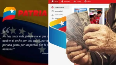 Plataforma Patria