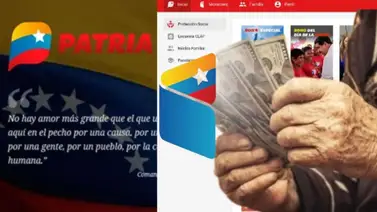 Plataforma Patria Plataforma Patria