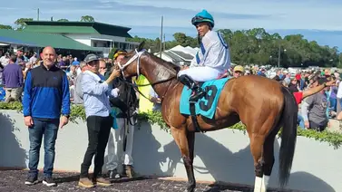 Samy Camacho aprovecha los Stakes de este sábado para montar en Tampa Bay Samy Camacho aprovecha los Stakes de este sábado para montar en Tampa Bay