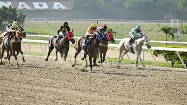 Mira quiénes son los caballos más fuertes en La Rinconada para este domingo