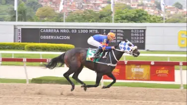 Apuesta y gana en la segunda carrera de La Rinconada Apuesta y gana en la segunda carrera de La Rinconada