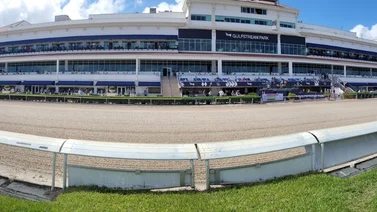 Gulfstream Park: La Ley HB105 es para salvar las carreras de caballos
