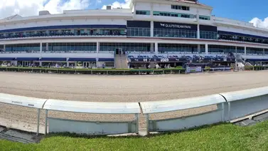 Gulfstream Park: La Ley HB105 es para salvar las carreras de caballos Gulfstream Park: La Ley HB105 es para salvar las carreras de caballos