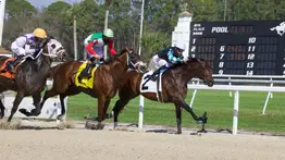Junior Alvarado se queda con el primer Stakes del sábado en Tampa Bay Downs