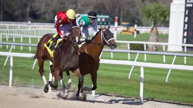 El Junior de Venezuela le quita a Flavien Prat el Minaret Stakes en la raya El Junior de Venezuela le quita a Flavien Prat el Minaret Stakes en la raya