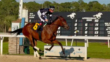 Nieta de Bernardini gana el Suncoast Stakes y se lleva los 20 puntos para el Kentucky Oaks Nieta de Bernardini gana el Suncoast Stakes y se lleva los 20 puntos para el Kentucky Oaks