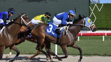 Emisael Jaramillo  gana su primera carrera de febrero en Gulfstream Park