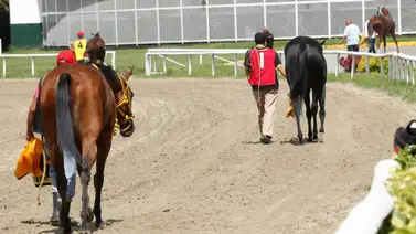 Estos son los retirados de la reunión 4 en La Rinconada 9-2-2025 Estos son los retirados de la reunión 4 en La Rinconada 9-2-2025