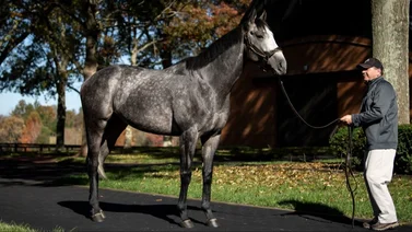 Debuta con victoria una hija de Arrogate que costó 1 millón de dólares 