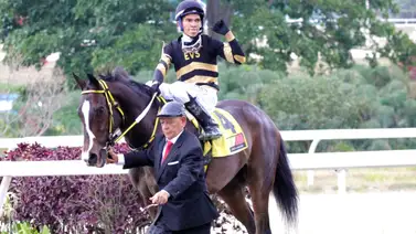 Aprendiz de la Rinconada logra por primera vez tres victorias en una reunión Aprendiz de la Rinconada logra por primera vez tres victorias en una reunión