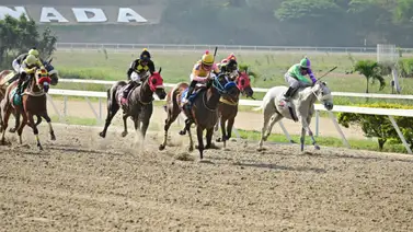 Descubre las razones detrás de la derrota de uno de los favoritos del 5y6 nacional Descubre las razones detrás de la derrota de uno de los favoritos del 5y6 nacional