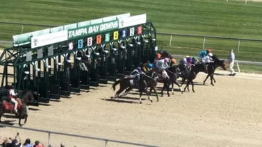 Venezolanos ganan nueve de las 21 carreras de fin de semana en Tampa Bay