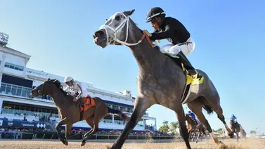 Entrenador zuliano metió doble batacazo combinado que pagó $34 a ganador Entrenador zuliano metió doble batacazo combinado que pagó $34 a ganador