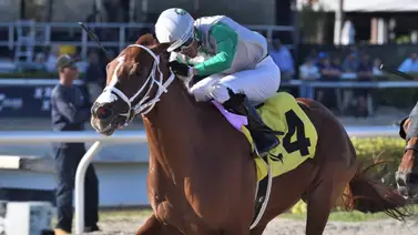 Sobrino de venezolano ganador del Kentucky Derby destacó en la semana y busca un stakes G3 de $165.000 Sobrino de venezolano ganador del Kentucky Derby destacó en la semana y busca un stakes G3 de $165.000