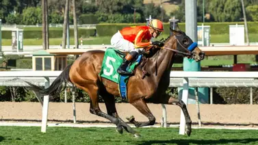 Casalu paseó la distancia para llevarse $100.000 este domingo en Santa Anita Casalu paseó la distancia para llevarse $100.000 este domingo en Santa Anita