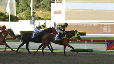 Ping Pong reaparece para ir por su primer Clásico Hylander (G3) el domingo en La Rinconada