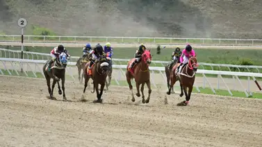 Siete estrellas maduras se enfrentan en el Clásico “Segula C” (G3) en La Rinconada Siete estrellas maduras se enfrentan en el Clásico “Segula C” (G3) en La Rinconada