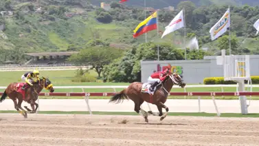 Ejemplar reconocido aparece nuevamente tras 553 Días y abre puertas al jinete que no ha ganado en 11 años en la R05 Ejemplar reconocido aparece nuevamente tras 553 Días y abre puertas al jinete que no ha ganado en 11 años en la R05