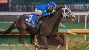 Good Cheer del Godolphin debuta lista para galopar este sábado en Fair Grounds Good Cheer del Godolphin debuta lista para galopar este sábado en Fair Grounds