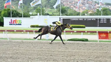 La Rinconada da la bienvenida a corredor sprinters y ganador selectivo después de 175 días sin Correr La Rinconada da la bienvenida a corredor sprinters y ganador selectivo después de 175 días sin Correr
