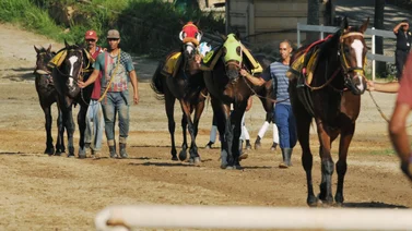 Un nuevo Champlain saltará a la pista de La Rinconada este domingo