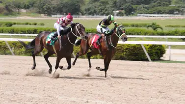 Descubre la nómina y los favoritos para ganar en la Primera Condicional Especial de la temporada 2025 Descubre la nómina y los favoritos para ganar en la Primera Condicional Especial de la temporada 2025