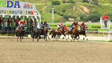 Este ejemplar podría hacer historia en la hípica venezolana si logra victoria en esta selectiva Este ejemplar podría hacer historia en la hípica venezolana si logra victoria en esta selectiva
