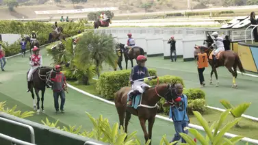 Va a debutar un medio hermano de Pompeyo que trae buenos trabajos de pista Va a debutar un medio hermano de Pompeyo que trae buenos trabajos de pista
