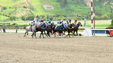 Este domingo en La Rinconada reaparece el nieto de un caballo legendario múltiple ganador selectivo