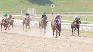 Yegua que siempre han tenido en buen concepto retorna a La Rinconada luego de 315 días de inactividad Yegua que siempre han tenido en buen concepto retorna a La Rinconada luego de 315 días de inactividad