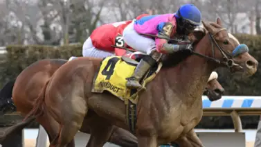 Otra neoyorquina hizo respetar su casa para ganar un puesto a la siguiente eliminatoria Otra neoyorquina hizo respetar su casa para ganar un puesto a la siguiente eliminatoria