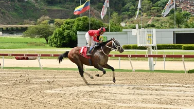 Templario el caballo que a sus siete años puede hacer historia en La Rinconada