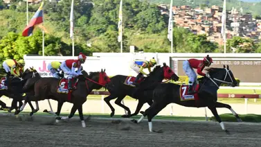 Veterano caballo con impresionante palmarés listo para brillar en La Rinconada este 2025 Veterano caballo con impresionante palmarés listo para brillar en La Rinconada este 2025