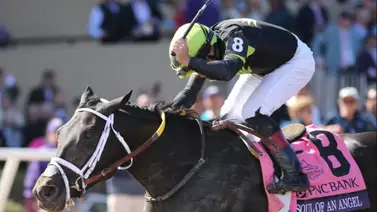 La ganadora del Premio Eclipse como mejor sprinter en Estados Unidos no irá para Arabia Saudita La ganadora del Premio Eclipse como mejor sprinter en Estados Unidos no irá para Arabia Saudita