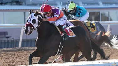 Nieta del triple coronado estadounidense American Pharoah que costó $500 mil dólares irán por puntos para la Kentucky Oaks Nieta del triple coronado estadounidense American Pharoah que costó $500 mil dólares irán por puntos para la Kentucky Oaks