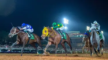 Esta es la nómina oficial de la Saudí Cup por 20 millones de dólares Esta es la nómina oficial de la Saudí Cup por 20 millones de dólares