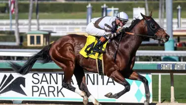 Conozca al ejemplar que costó $22 mil dólares que busca aumentar sus ganancias a $600 mil dólares Conozca al ejemplar que costó $22 mil dólares que busca aumentar sus ganancias a $600 mil dólares