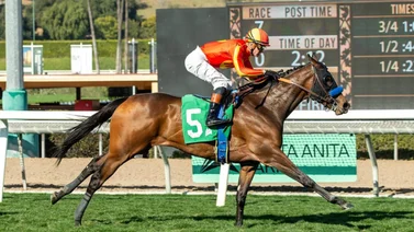 Ganador del Premio Eclipse vuelve a Fair Grounds por estos Stakes del sábado