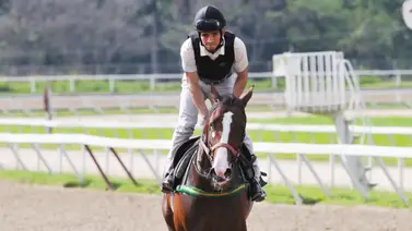 En carrera super pareja Larry Mejías buscará la sorpresa con este ejemplar en La Rinconada (+Entrevista) En carrera super pareja Larry Mejías buscará la sorpresa con este ejemplar en La Rinconada (+Entrevista)