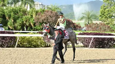 Campeón del Clásico José Antonio Páez 2024 entra en una nueva fase de recuperación Campeón del Clásico José Antonio Páez 2024 entra en una nueva fase de recuperación