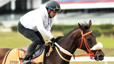 Conoce de manera detallada lo que opina Francisco Quevedo de la opción de cada uno de sus ejemplares (+Entrevista) Conoce de manera detallada lo que opina Francisco Quevedo de la opción de cada uno de sus ejemplares (+Entrevista)