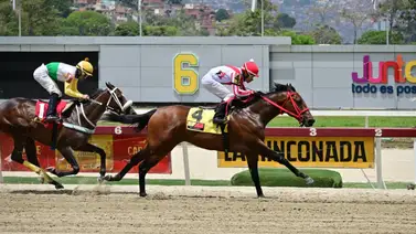 Conoce el ajuste confiable de este ejemplar que se prepara para retar a un fijo en las no válidas Conoce el ajuste confiable de este ejemplar que se prepara para retar a un fijo en las no válidas