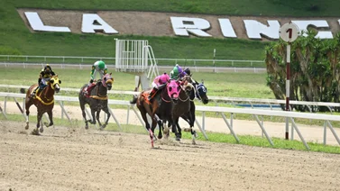 Mira el ajuste de esta yegua que de ganar puede ser una gran sorpresa en el Clásico “Segula C” (GIII) en La Rinconada 