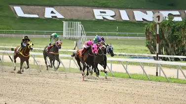 Mira el ajuste de esta yegua que de ganar puede ser una gran sorpresa en el Clásico “Segula C” (GIII) en La Rinconada Mira el ajuste de esta yegua que de ganar puede ser una gran sorpresa en el Clásico “Segula C” (GIII) en La Rinconada