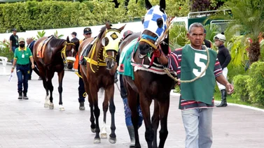 En carrera donde hay varias debutantes esta potra destacó al ajustar cómoda para la R05 de La Rinconada 