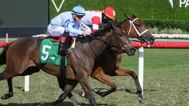 Venezolanos ganaron seis carreras de nueve este miércoles en Gulfstream Park Venezolanos ganaron seis carreras de nueve este miércoles en Gulfstream Park