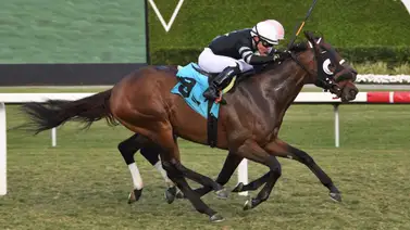 “El Muchacho de la película” Emisael Jaramillo sumó dos más en el mitin invernal de Gulfstream Park “El Muchacho de la película” Emisael Jaramillo sumó dos más en el mitin invernal de Gulfstream Park