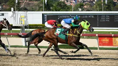 Así ajusta este ejemplar que de ganar sería el batacazo de las carreras válidas de la R05 Así ajusta este ejemplar que de ganar sería el batacazo de las carreras válidas de la R05