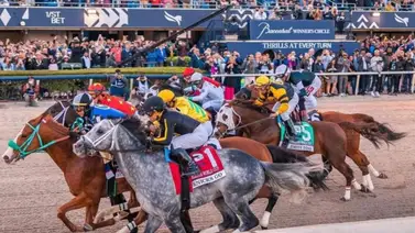 Aquí está el Best Best y los Picks para la jornada en Gulfstream Park 13-2-2025 Aquí está el Best Best y los Picks para la jornada en Gulfstream Park 13-2-2025