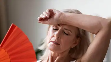 menopausia menopausia